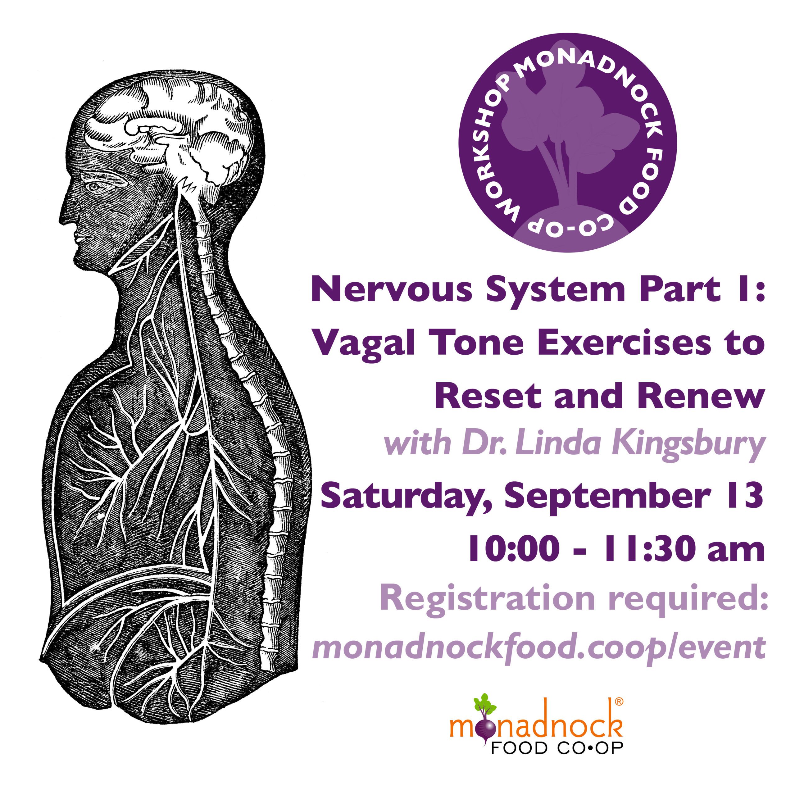 Square-Workshop_VagusNerve_Sept2025